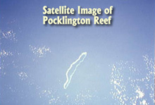 Pocklington Reef